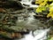 A river stream of water jumps over rocks.