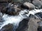 River stream water passing through rocks in indian forest wildlife india