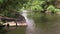 River stream waves. Fallen trees in river. Industrial trash on shore