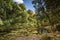 River strid near Bolton Abbey in yorkshire, England