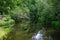 river in summer green shores with tree reflections in water