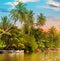 River, sunrise and tropical palms