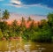 River, sunrise and tropical palms