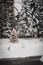 A river surrounded by snow in Vail, Colorado during winter.