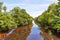 River Swale Flowing Through Yorkshire