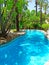 River Swimming pool among green plants in Spain