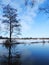 River Sysa , tree and homes in winter, Lithuania