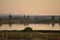 River Tagus At Sunset With Trees Reflected In Heritage. June 15, 2013. Las Herencias, Toledo, Castilla La Mancha, Spain. Vacation