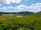 The river Tarn and moor with blooming brooms, France