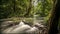 River timelapse in lush forest with waterfall