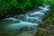 River Toplica at Spring time