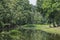 River Trees Landscape of National Park in Central Indian Forest