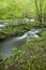 River, Tremont, Great Smoky Mtns NP