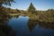 River with tress at begining of fall