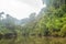 River at tropical forest jungle at the Gunung Mulu national park