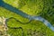 River in tropical mangrove green tree forest