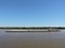 River Tug - Pusher `AGUARA` and convoy of bardes loaded in navigation along of the Water Way Hidrovia rivers Paraguay Parana