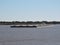 River Tug - Pusher `NUAR B` and convoy of barges loaded in navigation along of the Water Way Hidrovia rivers Paraguay Parana