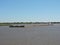 River Tug - Pusher `PATRICIA M` and convoy of barges loaded in navigation along of the Water Way Hidrovia rivers Paraguay Parana