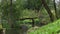 A River Turn With Rapids, Deciduous Trees, And a Fallen Tree Across it in Europe