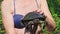 River Turtle in Female Hands on Background of Green River, Close-Up