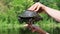 River Turtle in Female Hands on Background of Green River, Close-Up