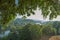 River view from below a tree, north portugal