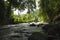 In the River with view to the ricefields in Ubud, Bali, Indonesia