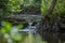 River view, with trees, rocks and vegetation on the banks