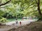 River Voidomatis in summer people for pick nick under the green trees Greece