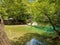 River Voidomatis in summer people for pick nick under the green trees Greece