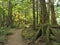 River Walk Trail Olympic National Park