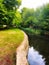 The River Wandle in early autumn