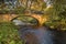 River Wansbeck below Kirkwhelpington Bridge