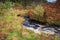 River Wansbeck leaves Sweethope Lough