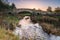 River Wansbeck under Wallington Bridge