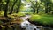 River Water Pass Through Middle in The Green Forest Selective Focus Background