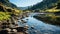 River Water Pass Through Middle in The Green Forest Selective Focus Background