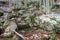 River water stagnant between stones and covered with red leaves and snow