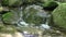 River Water Trickling Over Moss Covered Rock