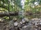 River water waterfall reflection stones trees