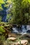 River and waterfall through dense rainforest vegetation