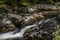 River Waterfall at Tremont in the Smoky Mountains