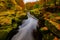 The River Wharfe at Bolton Abbey, North Yorkshire