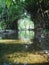 River where huge trees are reflected