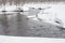 River with white showy banks in the forest