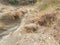 a river whose water dries up in the dry season in the village of Kaladi Cocong Bondowosoï¿¼