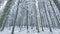River winter forest nature tree ice outdoor season weather snow