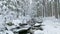 River winter forest nature tree ice outdoor season weather snow