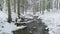 River winter forest nature tree ice outdoor season weather snow